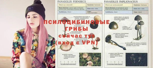 винт Алзамай