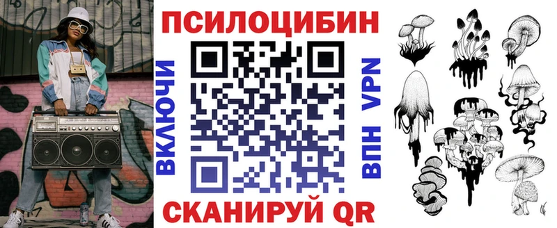 Псилоцибиновые грибы Psilocybine cubensis  Оленегорск 